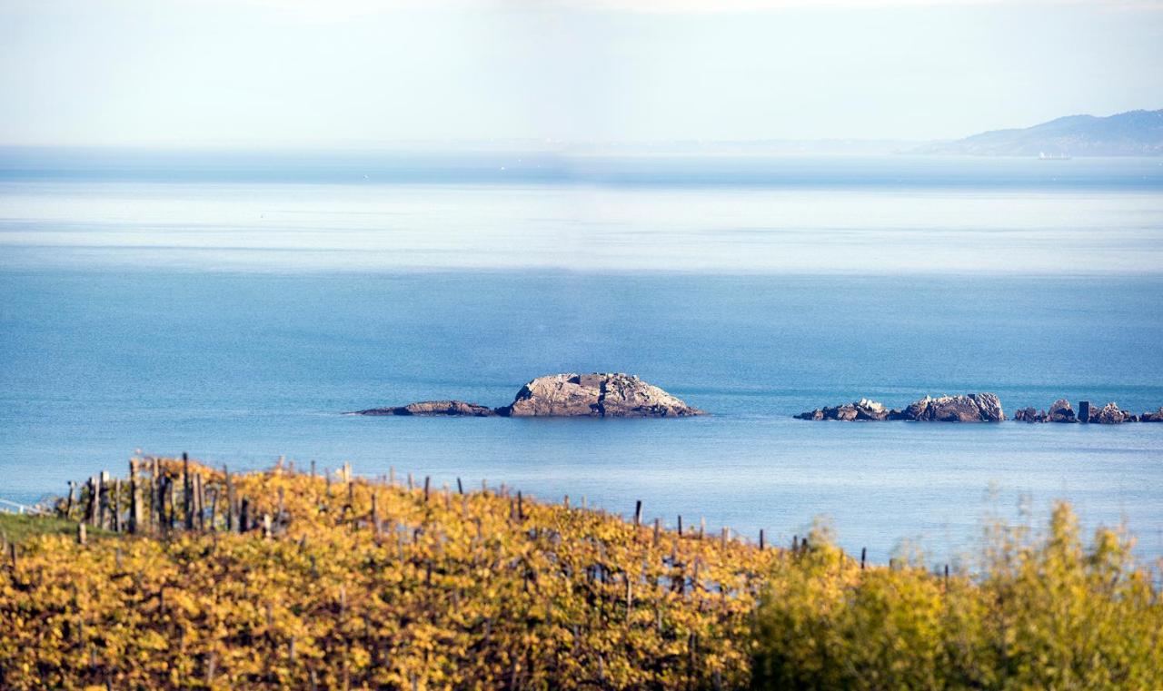 Aterian Gaztelu Lägenhet Zarautz Exteriör bild